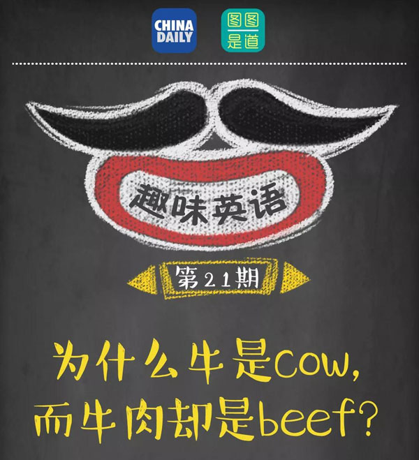 為什么牛是cow，而牛肉卻是beef？