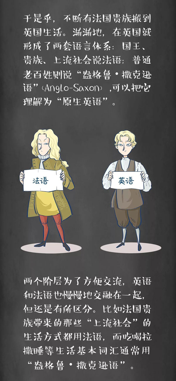 為什么牛是cow，而牛肉卻是beef？