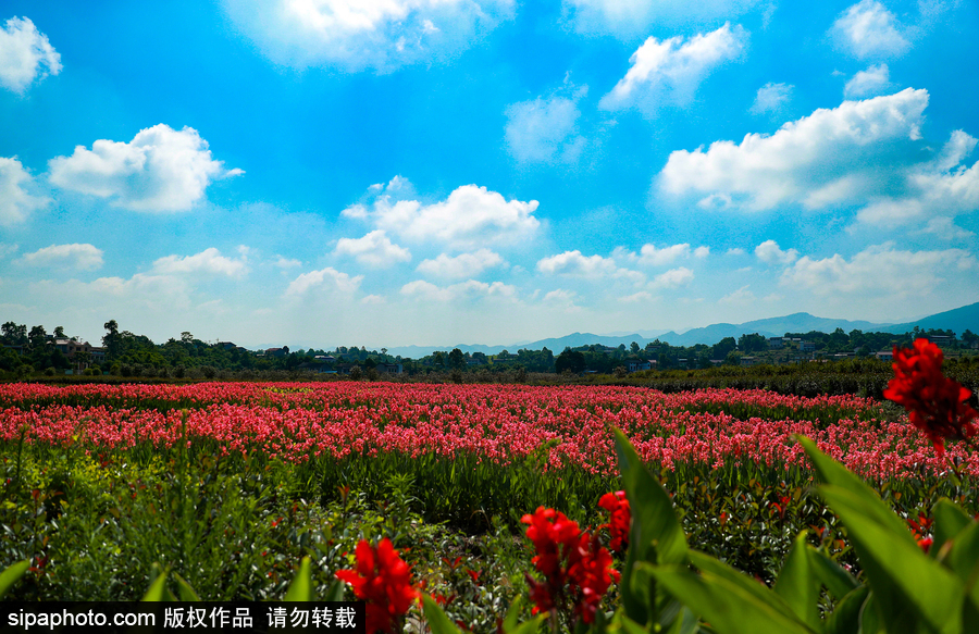 藍(lán)天白云刷屏！盤點(diǎn)風(fēng)清日朗的絕美風(fēng)光 為眼睛降溫