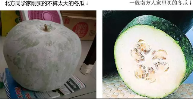 “南北差異”大討論：南方買菜買一頓，北方買菜買一噸？