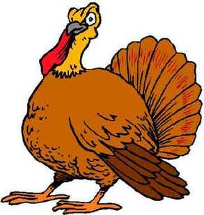 Turkey 感恩節(jié)為什么要吃火雞？