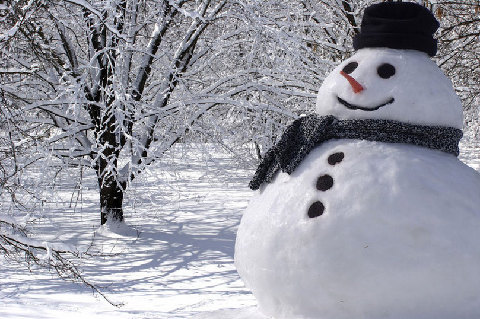 冬天來(lái)了，細(xì)數(shù)那些與“雪”有關(guān)的詞匯