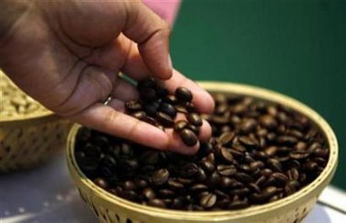 A visitor checks coffee beans at the 'International Coffee Festival 2007' in the southern Indian city of Bangalore February 24, 2007. Drinking coffee can help ward off type 2 diabetes and may even help prevent certain cancers, according to panelists discussing the benefits -- and risks -- of the beverage at a scientific meeting.